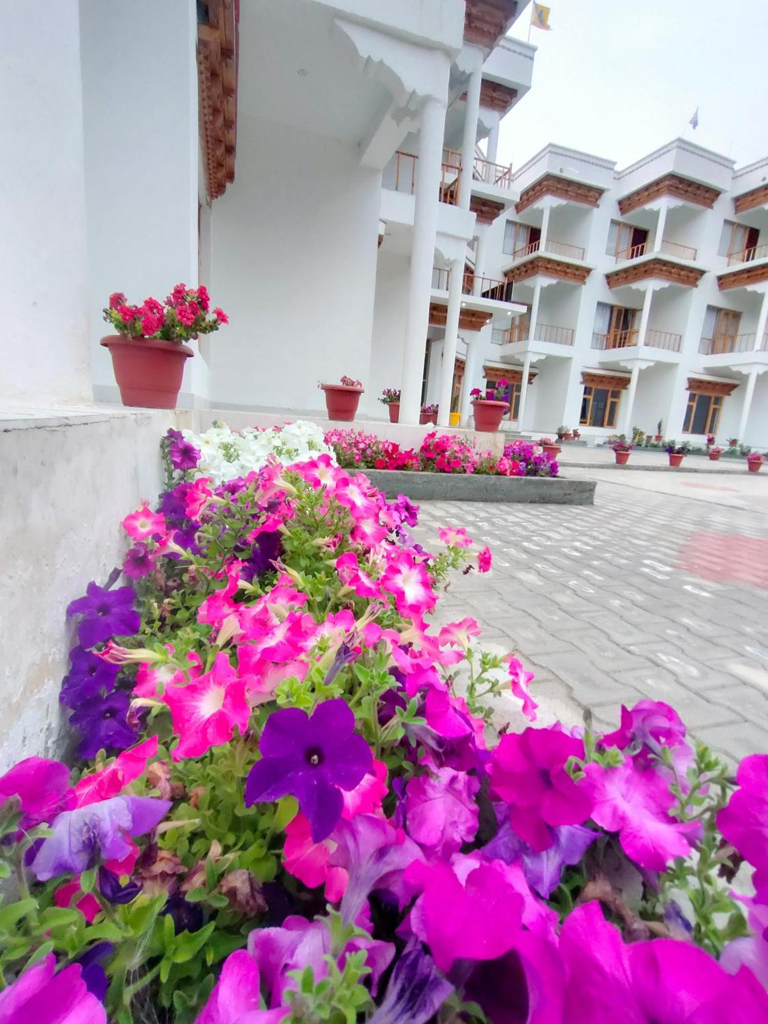 Hotel Ladakh Indus River Front Leh Eksteriør billede