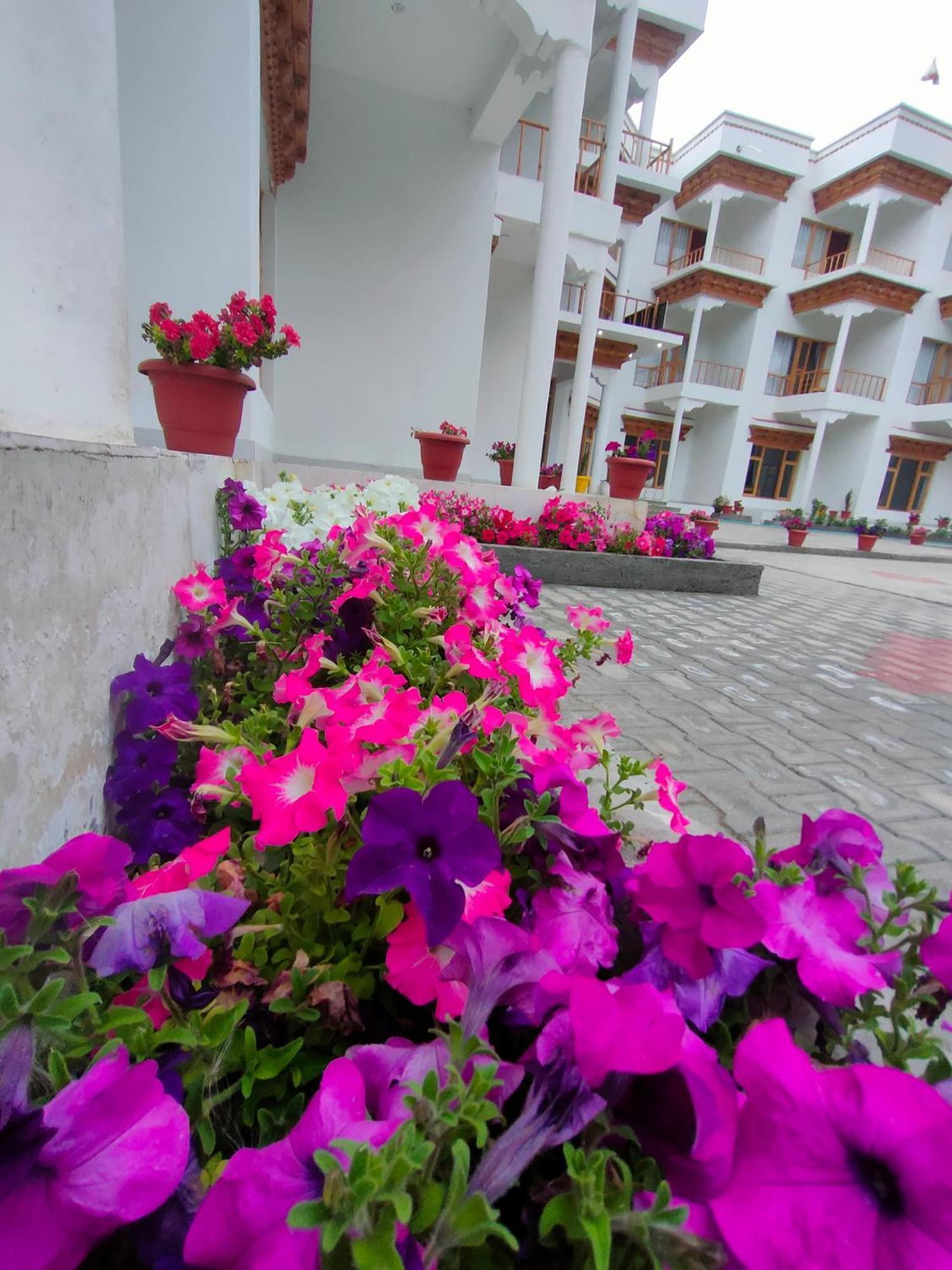 Hotel Ladakh Indus River Front Leh Eksteriør billede